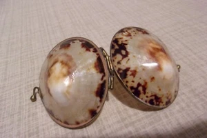 Hinged Seashell Compact Coin Purse Trinket Pill Box Sea Clam  Shell 2 " x  2" - Picture 1 of 15