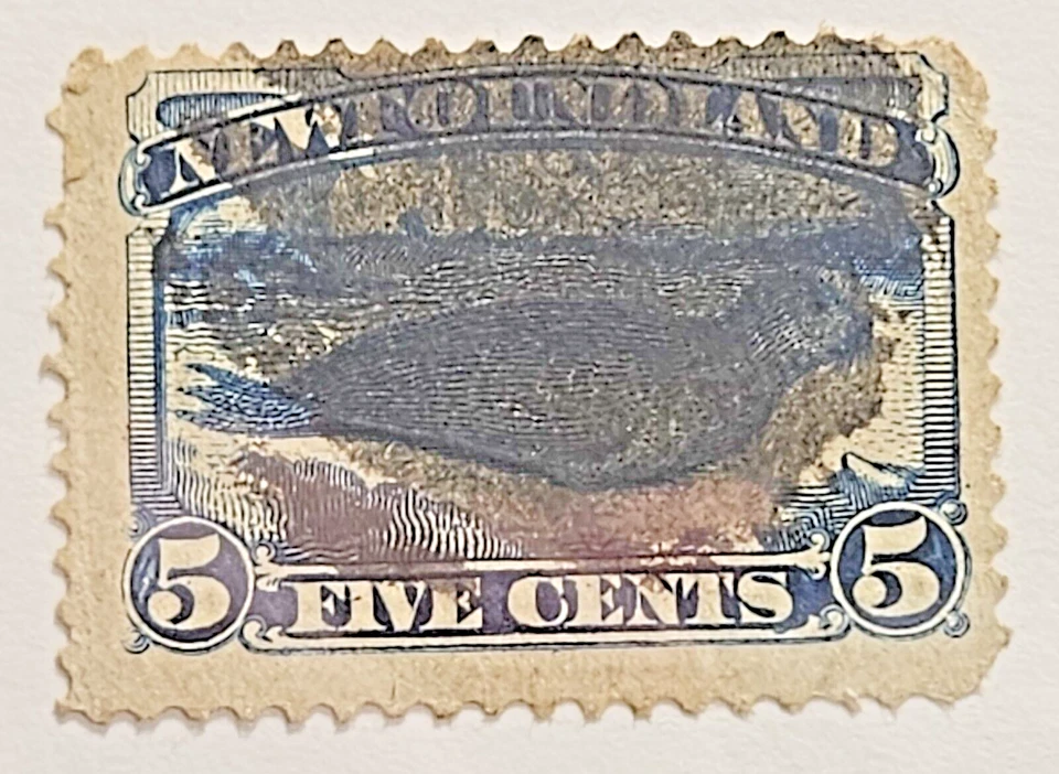 Newfoundland Stamp Sc 54, Used CVE$10.00 (412W-01) - Image 1 of 1