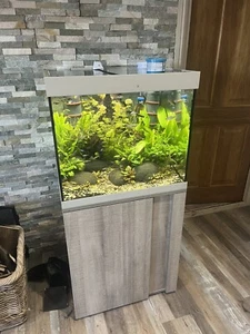 Eheim Fish Tank 150 Ltr - Picture 1 of 4