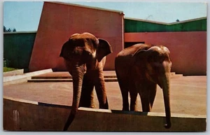 Cartolina d'epoca Oregon O Portland Zoo Rosy & Tuyhoa elefanti mostra anni '60 vista - Foto 1 di 2