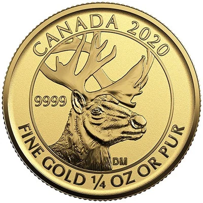 Moneda de oro canadiense Woodland Caribou 2020 de 1/4 oz a prueba inversa Foto 1 de 2