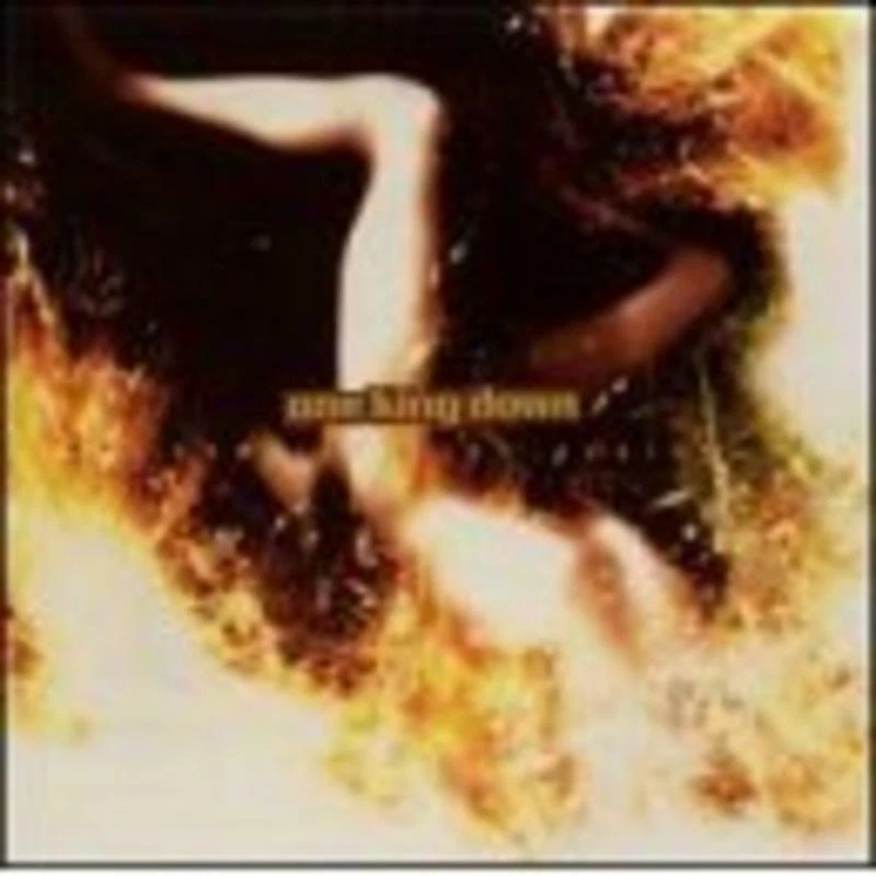 One King Down - Gravity Wins Again CD NEU OVP - Bild 1 von 1