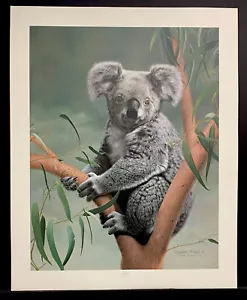 Impresión firmada por Charles Frace edición limitada firmada "Koala" - Imagen 1 de 1
