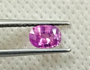 Pakistan Pink Pink Sapphire Oval Loose Gemstones 1.01 Cts Not Enhanced - Picture 1 of 7
