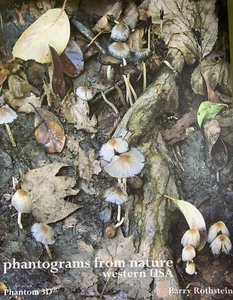 Phantograms from Nature, Western USA (Phantom 3D Books) - Spiral-bound - New - Bild 1 von 1