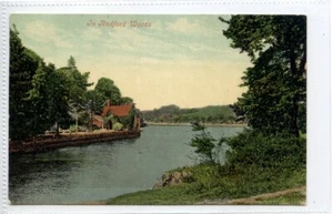 (Gd2514) In Radford Woods. Plymstock, Plymouth, Devon 1906 - Bild 1 von 4