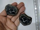 Septarian Nodule Polished Geode Fossil Pair Morocco