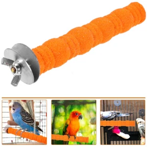 Bastone per macinare denti nido di uccelli accessori pappagalli supporto gioco per pappagalli - Foto 1 di 12