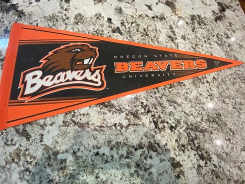 Oregon State Beaver flag Cover