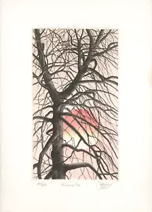 "Suning Sun"" di Catherine Colsher." Incisione, firmata e numerata. - Foto 1 di 4