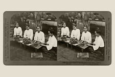 Print: Burmese Women Rolling Leaf Tobacco Into Cigars, Mopoon, Burma, 1907