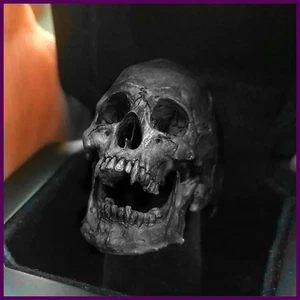 Trendige Männer Fabrikat alt Vintage Vampir Totenkopf offene Kiefer Ringe Männer Totenkopf Biker - Bild 1 von 24