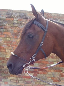 New Synthetic Biothane Combination/Hackamore Bridle Various Colours - Picture 1 of 12