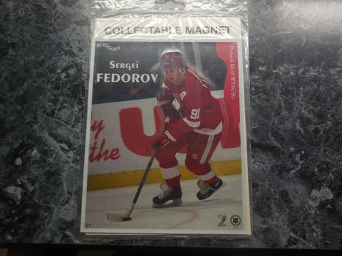 1 1996 detroit redwings 8in sergei fedorov magnet/by maggers Cover