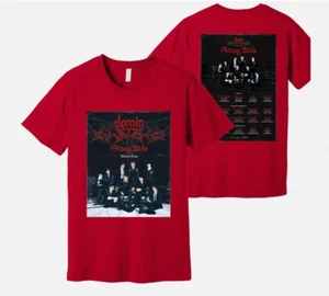 Stray Kids World Tour 2025 T-Shirt , dominATE SKZ Tshirt, Stray Kids Concert - Picture 1 of 4