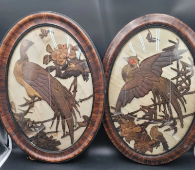 Antiguo Juego de 2 Pájaros Hechos a Mano Cúpula Ovalada Madera Tigre Enmarcados Vidrio 23"x17" Foto 1 de 4