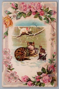1800s CATS Victorian Trade Card Sample School Card Beverly, Massachusetts - Picture 1 of 2