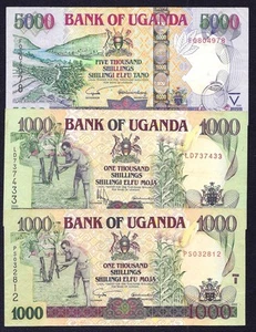 Uganda 1000 + 1000 + 5000  Shillings 2000+2003+2005 P-39+44 - Picture 1 of 2