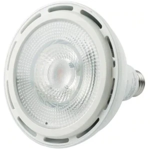 NEW! Sylvania ULTRA LED High Output PAR38 LED Flood Lamp - 3000 Lumens! 30W  - Picture 1 of 3