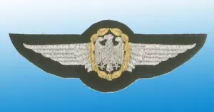 Patch Brevet German Air Force wings - Imagen 1 de 1