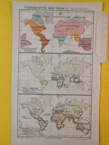 1891 World Mammal Distribution Areas Map Vintage Geography 6.5 x 9.5 C21-9 - Picture 1 of 3