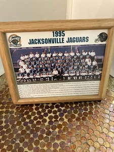 Jacksonville Jaguars 1995 Team Picture and Picture Frame P1 - Picture 1 of 11