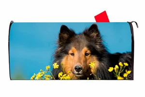 Sheltie Collie Dog Vinyl Magnetic Mailbox Cover Made in the USA - Picture 1 of 1