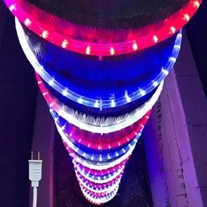 Patriotic Rope Lights Design for Independence Day 4th of July Memorial Day Ve... - Picture 1 of 9