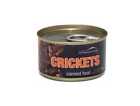 Artemia Konservierte Grillen Gross Canned Crickets 34 g Dose 15170 24-tlg.Set