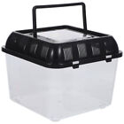 Clear Portable Plastic Tank for Small Creatures with Handle & Lid