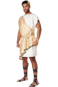 California Costume Greek God Toga Medieval Roman Outfit 5121-179-missing part - Picture 1 of 1