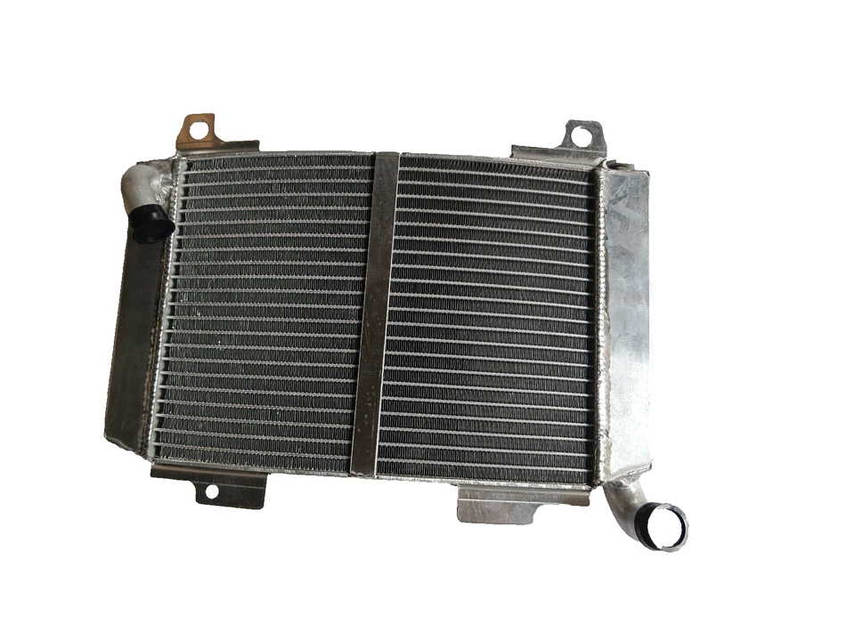 Radiador de aluminio apto para Aprilia RS 250 Mk2 1996-2003 radiador refrigeración Foto 1 de 4