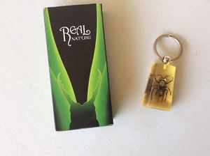 Natural Rare HORNET Specimen Real Nature Insect in Resin Keychain - Picture 1 of 5