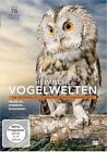 Heimische Vogelwelten-Artenvielfalt einzigartigen Filmaufnahmen-DVD/NEU(#2702)