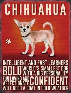Chihuahua Eigenschaften Kühlschrankmagnet - Bild 1 von 1