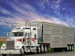 1/64 DCP KENWORTH W900L W/ 86" STUDIO SLEEPER & WILSON TRI AXLE CATTLE TRL - Picture 1 of 8
