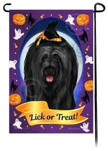 Halloween Garten Flagge - unbeschnitten Black Briard - Bild 1 von 1