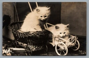 RPPC postcard by Rotary Photo 2 white kittens / cats in wheeled basket carts - Picture 1 of 2