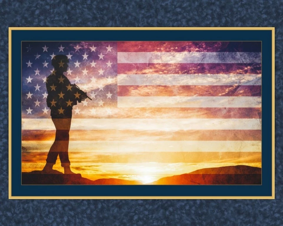 Tecido de algodão Defender Patriotic Panel - Imagem 1 de 1