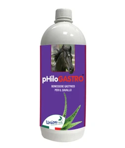 PHILOGASTRO Adyuvante Alimento Complementario en la Gastritis del Caballo Unión Bio - Imagen 1 de 1