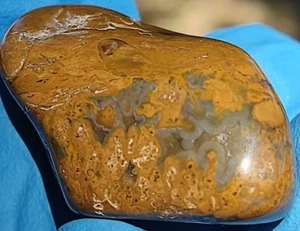 Tennessee Jasper Agate Specimen Chert Crystal Gem 10g - Picture 1 of 9