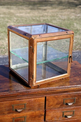 Antique Brass Medical Cabinet Apothecary Glass Display Case Industrial bathroom Cover