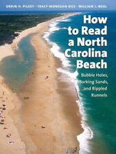 How to Read a North Carolina Beach : Bubble Holes, Barking Sands,