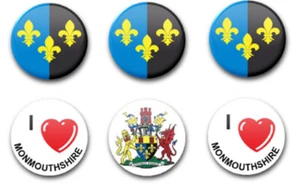 25 MM 1 ZOLL KNOPFABZEICHEN MONMOUTHSHIRE X6 - Bild 1 von 1