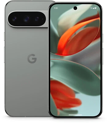 Google Pixel 9 Pro 256GB Hazel, NEU Sonstige