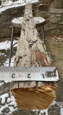 69 pol. varas de nogueira/fabricação de arco de madeira/barco - Imagem 1 de 4