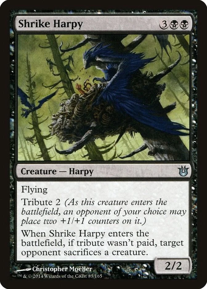 Magic the Gathering MTG Shrike Harpy Born of the Gods BNG 83/165 Uncommon NM/M - Image 1 of 1