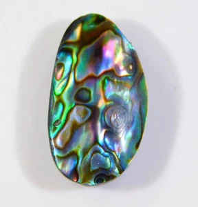 20 CT SUPERB NATURAL RAINBOW FIRE ABALONE SHELL FANCY CABOCHON GEMSTONE CI=112 - Picture 1 of 6