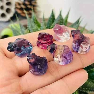 5pc Natural fluorite carved mini frog skull gift quartz crystal reiki healing - Bild 1 von 8