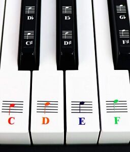 Clavier piano couleur QMG note de musique ensemble complet d'autocollants pour touches blanches et noires
